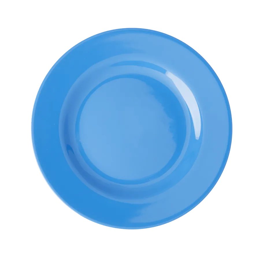 Kids Melamine Lunch Plate in Ocean Blue